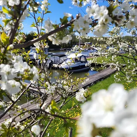 Marina Niedźwiedzi Róg Casa de hóspedes 3*